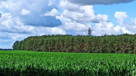 Aussichtsturm Blumenthal bei Heiligengrabe, Bild: Antenne Brandenburg/Björn Haase-Wendt