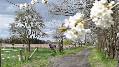 In der Gemeinde Karstädt gibt´s vor allem Ruhe und Natur pur, Bild: Antenne Brandenburg/Björn Haase-Wendt