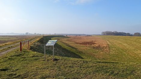 Links der Altdeich, rechts der neue Deich. Die Deichrückverlegung vereinigt Hochwasser- und Naturschutz. Ein neuer Deich wurde weiter ins Land gebaut, der Altdeich an sechs Stellen geschlitzt. So entstanden mehr als 400 Hektar zusätzliche Überflutungsflächen, Bild: Antenne Brandenburg/Björn Haase-Wendt