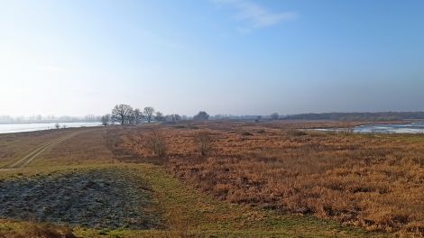 Durch die Deichrückerlegung entstand bei Lenzen neuer Lebensraum für die Tier- und Pflanzenwelt. Außerdem wurden so mehr als 400 Hektar neue Überflutungsflächen für Hochwasser geschaffen. , Bild: Antenne Brandenburg/Björn Haase-Wendt