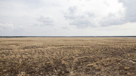 Auch das ist die Lieberoser Heide - Wüste, soweit das Auge blickt, Bild: Stiftung Naturlandschaften Brandenburg