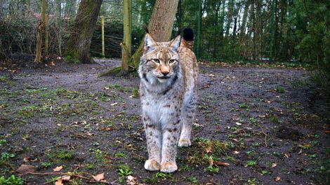 Tierpark Luckenwalde, Bild: Tierpark Luckenwalde