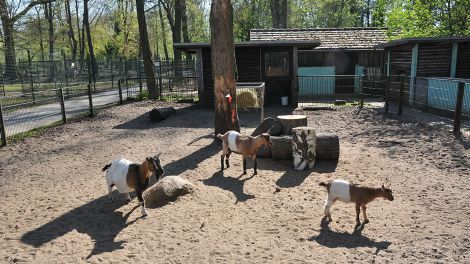 Tierpark Luckenwalde, Bild: Stadt Luckenwalde