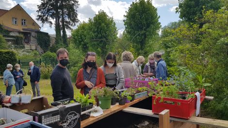 Der Garten für alle gehört zum Mehrgenerationenhaus in Lychen. Mit einer Pflanzentauschbörse wird in die Saison gestartet, Foto: Antenne Brandenburg, Eva Kirchner-Rätsch