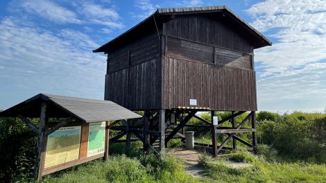 Beobachtungstürme im Naturschutzgebiet bei Garlitz, Bild: Antenne Brandenburg/Claudia Stern
