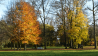 Herbststimmung im Meyenburger Schlosspark., Foto: Björn Haase-Wendt, Antenne Brandenburg