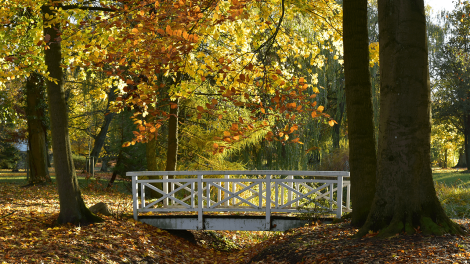 Der historische Schlosspark wurde vom Berliner Hofgärtner Finck 1868 angelegt und Mitte der 90er-Jahre restauriert. Heute lädt er zu Spaziergängen ein., Foto: Björn Haase-Wendt, Antenne Brandenburg