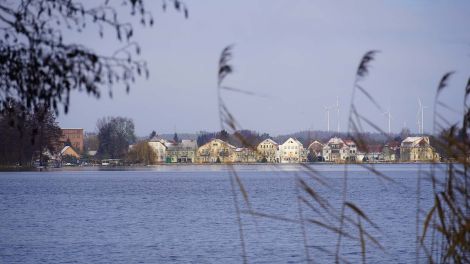 Blick auf das Nordufer am Großen Müllroser See, Foto: Antenne Brandenburg/Fred Pilarski