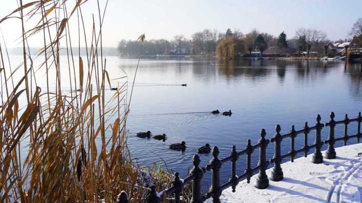 Winterstimmung am Großen Müllroser See, Foto: Antenne Brandenburg/Fred Pilarski