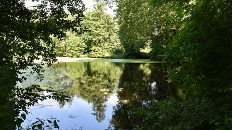 Kurz mal eine Pause – der Teich im Park „Amtsfreiheit“ eignet sich dafür hervorragend, Bild: Antenne Brandenburg/Björn Haase-Wendt