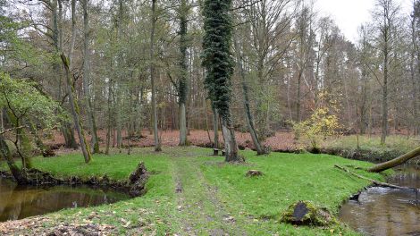 Liebesinsel Pritzwalk, Bild: Antenne Brandenburg/Björn Haase-Wendt