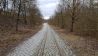 Straßenbahnschienen ins Nichts. Bis in die 1970iger Jahre ging es hier ins Ortszentrum. Das musste dem Tagebau weichen. Heute erinnern die Straße und die Schienen an diese Zeit, Foto: Antenne Brandenburg/Eva Kirchner-Rätsch