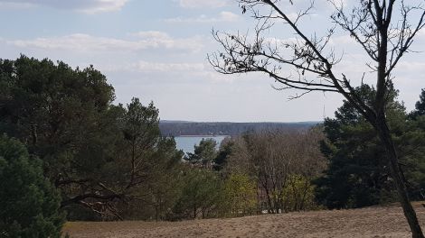 Ein besonderer Blick auf den Storkower See -den haben Sie von der Binnendüne Waltersberge aus. Mit etwa 32 Metern Höhe gehört sie zu den größten Deutschlands, Bild: Antenne Brandenburg/Eva Kirchner-Rätsch