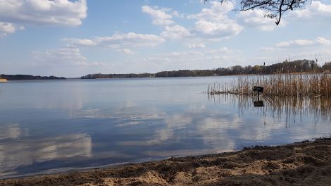 Rein springen und abtauchen, das ist am Storkower See an vielen Badestellen möglich. Der See verfügt über eine hervorragende Wasserqualität. Die wird regelmäßig überprüft, Bild: Antenne Brandenburg/Eva Kirchner-Rätsch