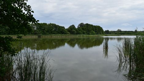 Der Katerbower See ist ca 2 Kilometer lang und gehört zu den Ausläufern der Mecklenburgischen Seenplatte, Bild: Antenne Brandenburg / Bjoern Haase-Wendt