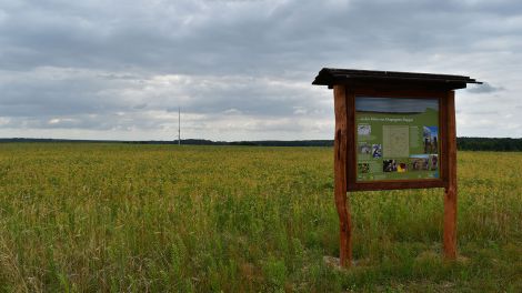 Auf dem Mittelpunktschild stehen alle wichtigen Informationen, Bild: Antenne Brandenburg / Bjoern Haase-Wendt