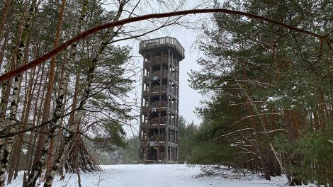 Aussichtsturm Löwendorfer Berg, Bild: Antenne Brandenburg/Matthias Gindorf