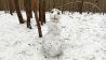 Schneemann im Wald, Bild: Antenne Brandenburg/Matthias Gindorf