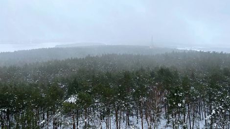 Blick vom Aussichtsturm nach Trebbin, Bild: Antenne Brandenburg/Matthias Gindorf