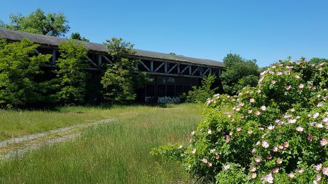 Der ehemalige Flughafen, Bild: Antenne Brandenburg / Eva Kirchner-Rätsch