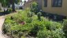 Bauerngarten, Bild: Antenne Brandenburg / Eva Kirchner-Rätsch