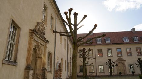 Im Innenhof des Schloss Wiesenburg, Foto: Antenne Brandenburg/Christofer Hameister