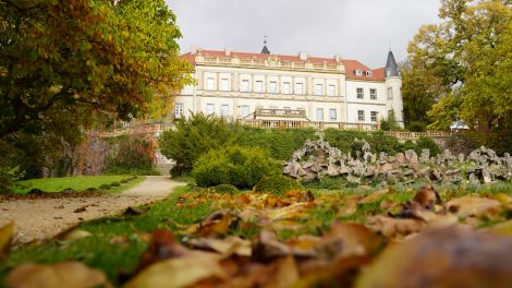 Herbstlaub im Schlossgarten Wiesenburg, Foto: Antenne Brandenburg/Christofer Hameister