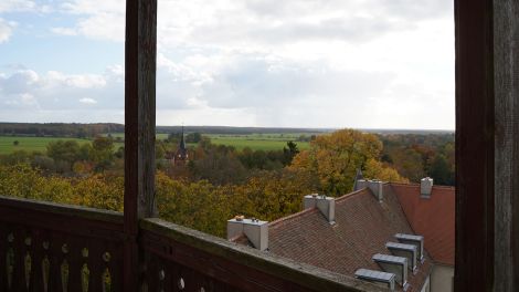 Blick vom Turm auf den Waldpark, Foto: Antenne Brandenburg/Christofer Hameister