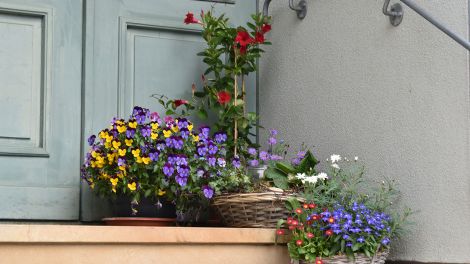 Ein kleiner Blickfang beim Spaziergang. Anwohner haben ihren Eingang mit Blumen aufgehübscht, Bild: Antenne Brandenburg/Björn Haase-Wendt