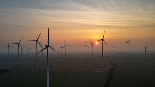 Windenergieanlagen im Windpark "Odervorland" Bild: dpa/P. Pleul