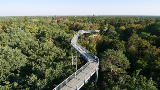 Baumwipfelpfad Beelitz-Heilstätten, Foto: Katrin Marx