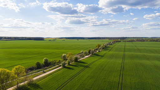 Ausflugtipps für Brandenburg, Luftaufnahme einer Straße in Brandenburg inmitten von Feldern, Foto: IMAGO / Westend61