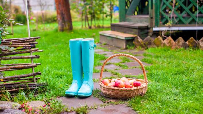 Gartenzeit, Foto: Colourbox