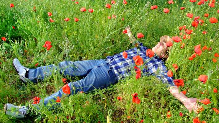 Mann entspannt sich auf Blumenwiese, Foto: Colourbox