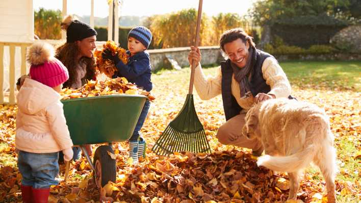 Familie harkt Laub zusammen, Foto: colourbox