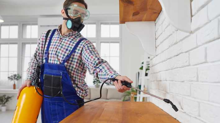 Kammerjäger bei der Arbeit, Foto: Colourbox