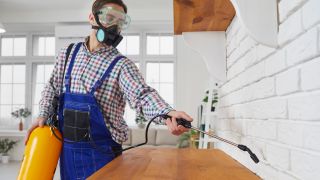Kammerjäger bei der Arbeit, Foto: Colourbox