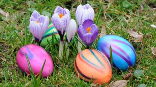 Ostereier und Krokusse, Foto: Colourbox
