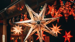 Weihnachtsstern, Foto: Colourbox