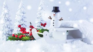 Kleiner Schneemann, Foto: Colourbox