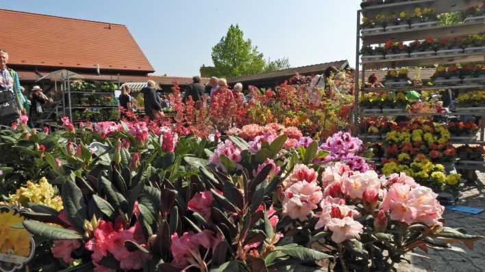 Blumenmarkt in Wiesenburg, Foto: Anja Reinholz/Gemeinde Wiesenburg Blumenmarkt in Wiesenburg, Foto: Anja Reinholz/Gemeinde Wiesenburg