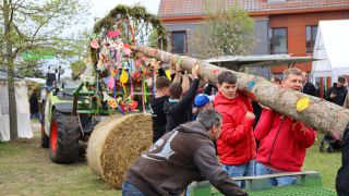 Die Kuhhorster beim Aufstellen des Maibaums, Foto: Ökohof Kuhhorst
