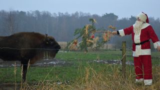 Tierbescherung im Wildpark Schorfheide, Foto: Wildpark Schorfheide gGmbH