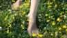 Nackte Füße im Gras, Foto: Colourbox/Sigrid Olsson