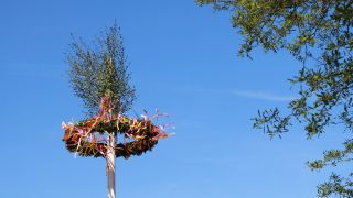Grosser Maibaum, Foto: Colourbox