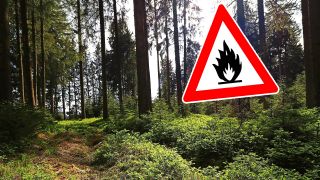 Waldbrandgefahr, Bild: colourbox