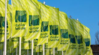 Grüne Woche-Fahnen, Bild: Messe Berlin GmbH