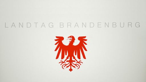 Adler am Rednerpult des Landtages Brandenburg, Bild: dpa/Ralf Hirschberger