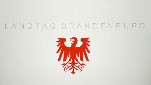 Adler am Rednerpult des Landtages Brandenburg, Bild: dpa/Ralf Hirschberger