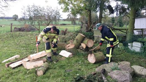 Schippe drauf in Steinhöfel - Holz hacken, Bild: Antenne Brandenburg